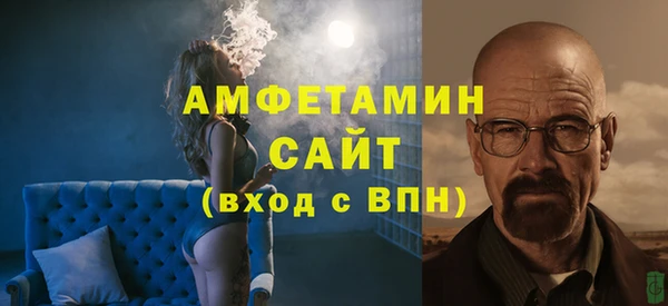 spice Богородицк