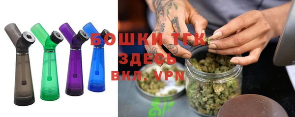 крисы Богородск