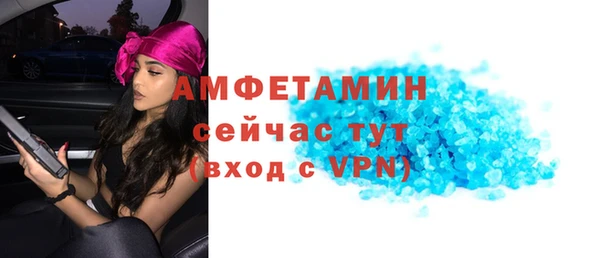 spice Богородицк