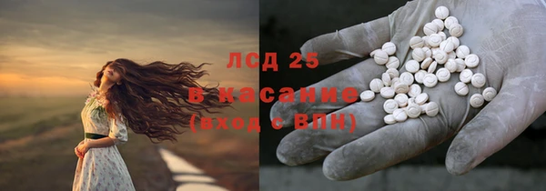 spice Богородицк
