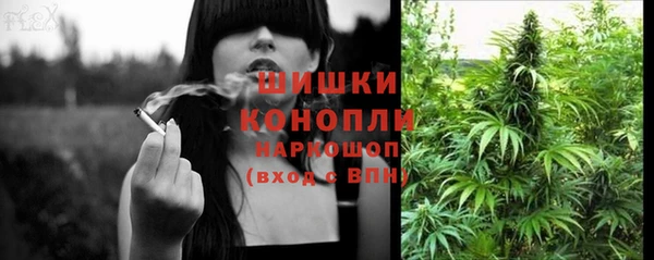 spice Богородицк