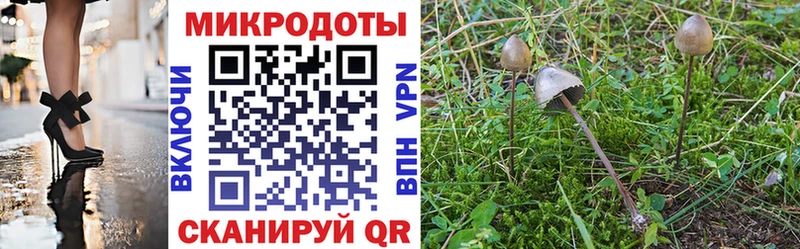 Псилоцибиновые грибы прущие грибы  Котельниково 